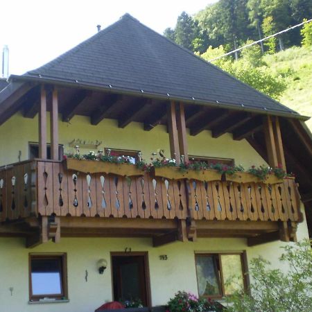 Haus Am Bach Lejlighed Freiburg im Breisgau Eksteriør billede