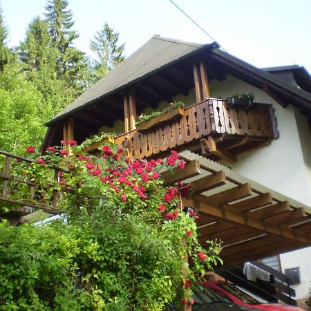 Haus Am Bach Lejlighed Freiburg im Breisgau Eksteriør billede